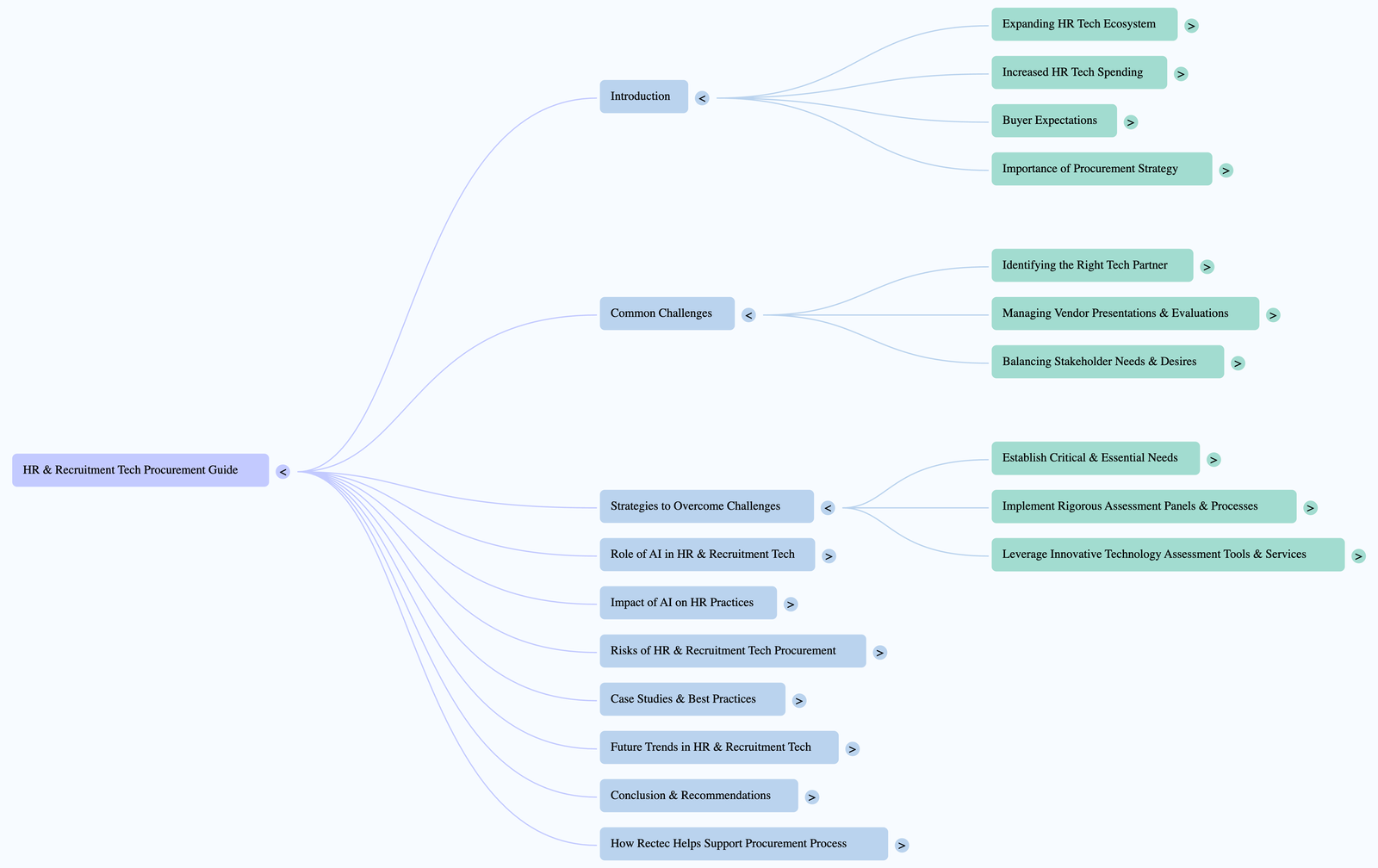 NotebookLM Mind Map1 An Expert Guide to Navigating HR Tech Procurement and Recruitment Tech Procurement